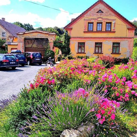 Apartmany Kosov 1 Bor Zewnętrze zdjęcie